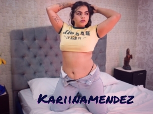 Kariinamendez