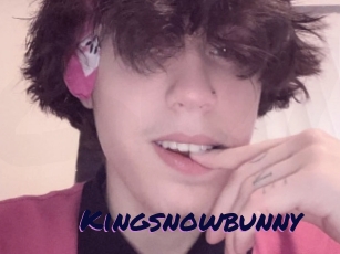 Kingsnowbunny