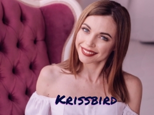 Krissbird