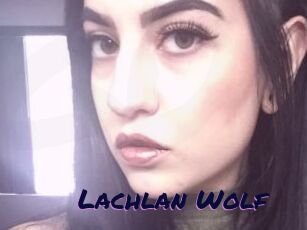 Lachlan_Wolf