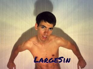 LargeSin