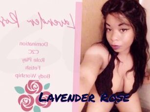 Lavender_Rose