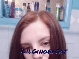 LilGingerCat