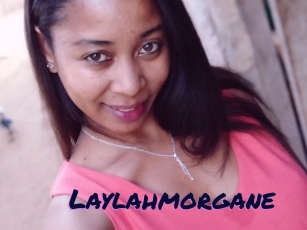 Laylahmorgane