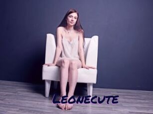 Leonecute