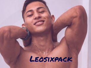 Leosixpack