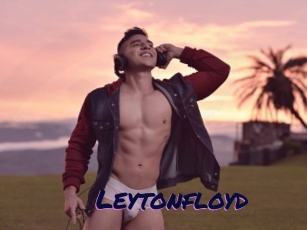 Leytonfloyd