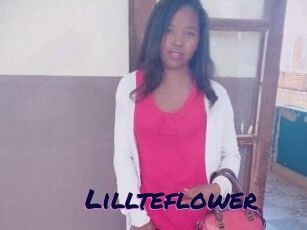 Lillteflower