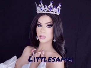 Littlesamm