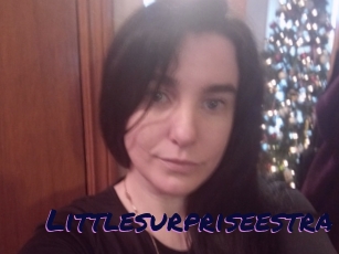 Littlesurpriseestra