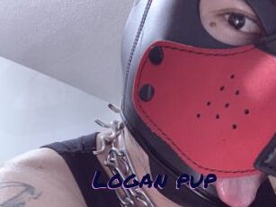 Logan_pup