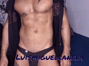 Luismiguelcanela