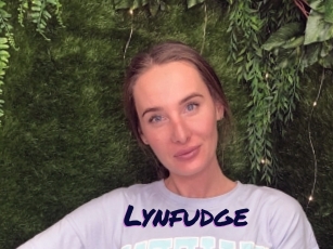 Lynfudge