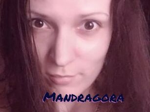 Mandragora