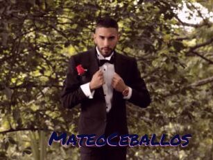 MateoCeballos