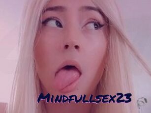 Mindfullsex23