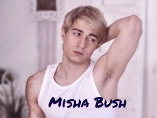 Misha_Bush