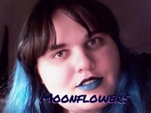 Moonflowers