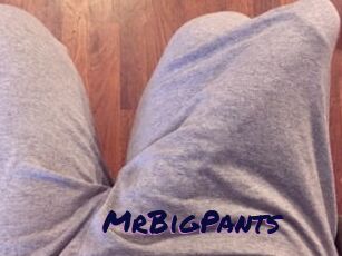 MrBigPants