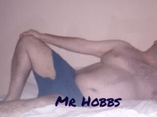 Mr_Hobbs