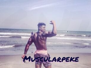 Muscularpeke