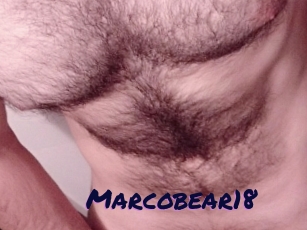 Marcobear18