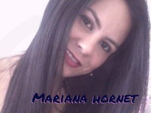 Mariana_hornet