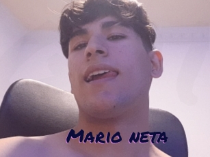 Mario_neta