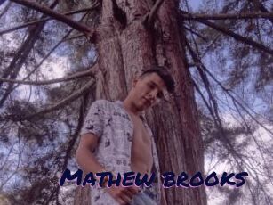 Mathew_brooks