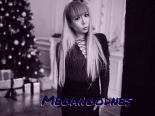 Megangodnes