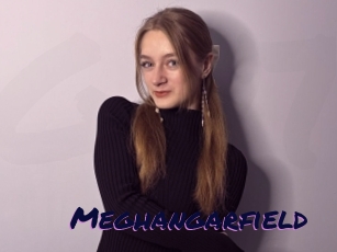 Meghangarfield