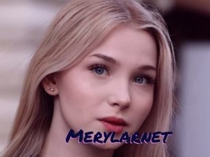 Merylarnet