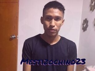 Mestizochino23