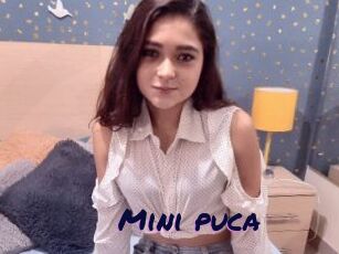 Mini_puca