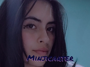 Minjicarter