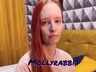 Mollyrabbit