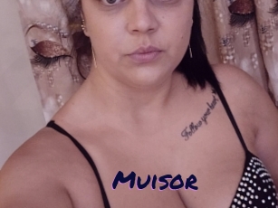 Muisor