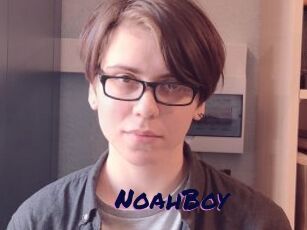 NoahBoy