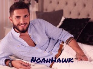 NoahHawk