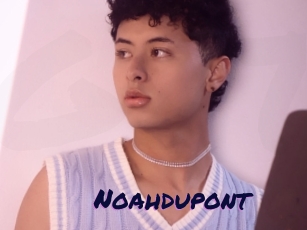 Noahdupont