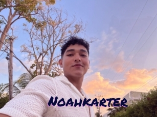 Noahkarter