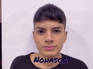 Nohascot