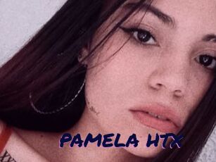 PAMELA_HTX