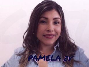 PAMELA_zv