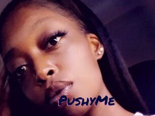 PushyMe