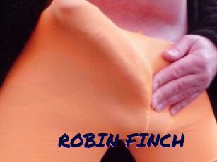 ROBIN_FINCH