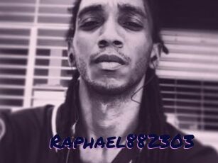 Raphael882303