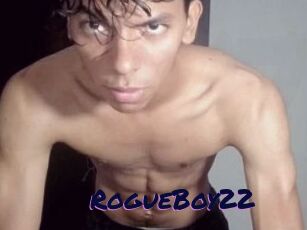 RogueBoy22