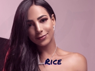 Rice