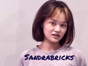 Sandrabricks